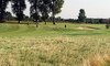 Golfanlage Roggendorf / KölnGolf