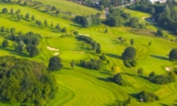 Waldbrunnen / Golf Course Siebengebirge